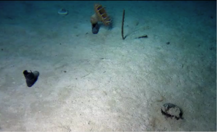 Boots in the HMAS Sydney debris field. 